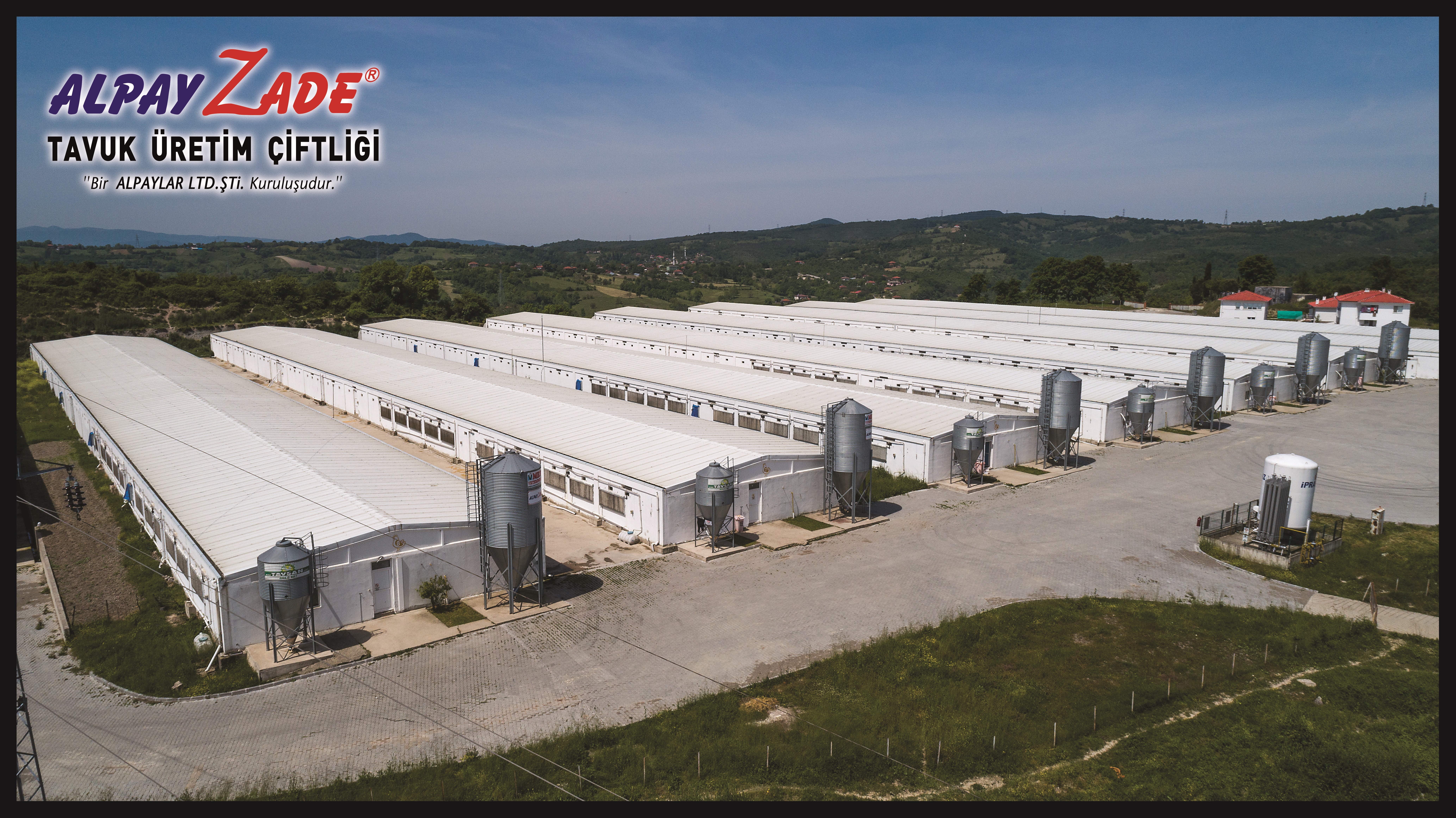 AlpayZade Tavukçuluk